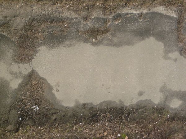 Grey asphalt texture with small indentations in its surface, surrounded by areas of thick brown weeds.